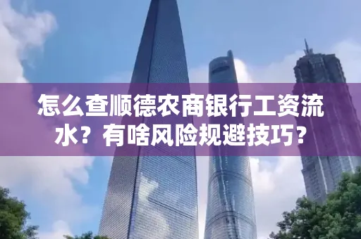 怎么查顺德农商银行工资流水？有啥风险规避技巧？